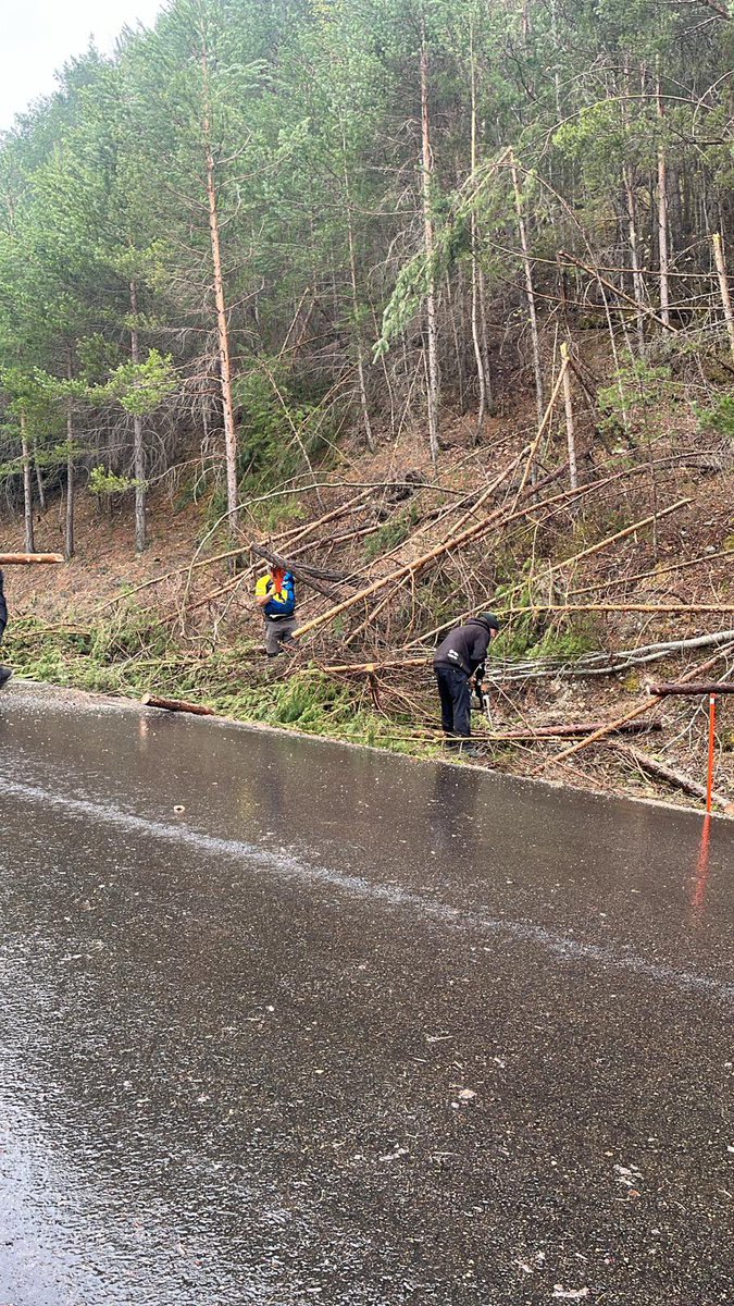 𝑭𝙖𝒍𝙡𝒂𝙞𝒓𝙚𝒔 𝒅𝙚 𝙎𝒐𝙧𝒕 tweet media