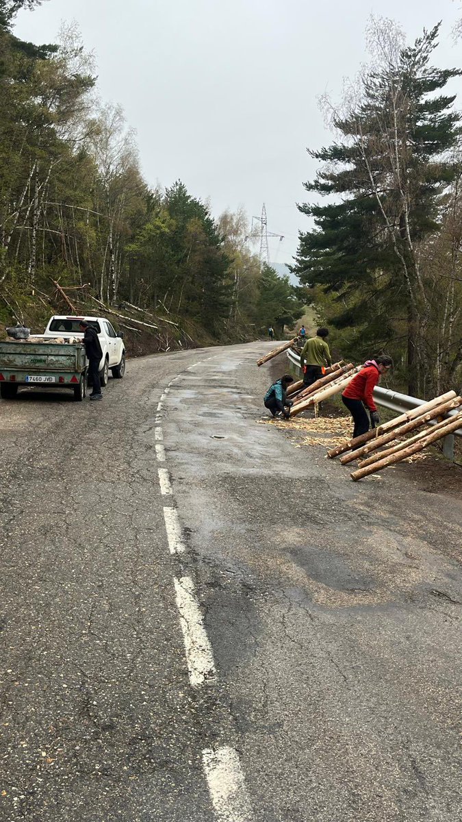 𝑭𝙖𝒍𝙡𝒂𝙞𝒓𝙚𝒔 𝒅𝙚 𝙎𝒐𝙧𝒕 tweet media