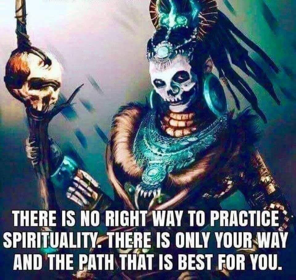 🧬Maxpein🧬 tweet media