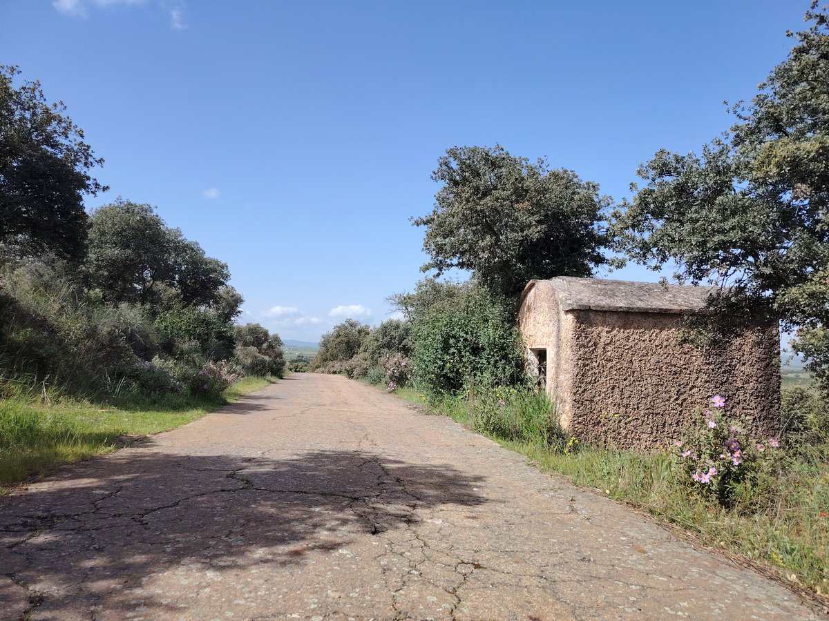 Paseo.