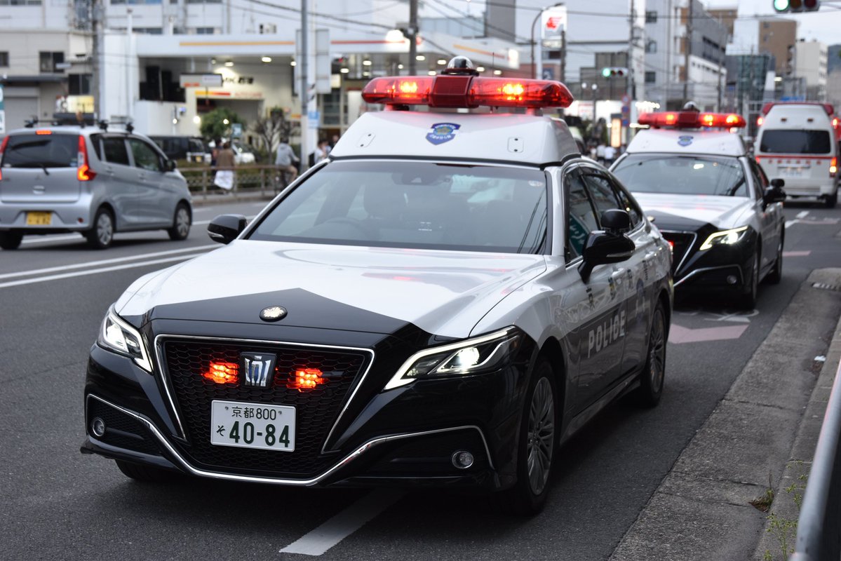 たろう。 tweet media