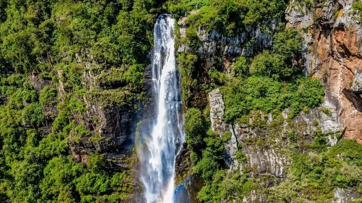 Lilei Hosea™𓃵 🇰🇪 tweet media