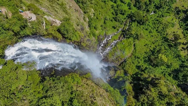 Lilei Hosea™𓃵 🇰🇪 tweet media