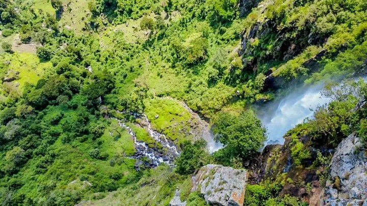 Lilei Hosea™𓃵 🇰🇪 tweet media