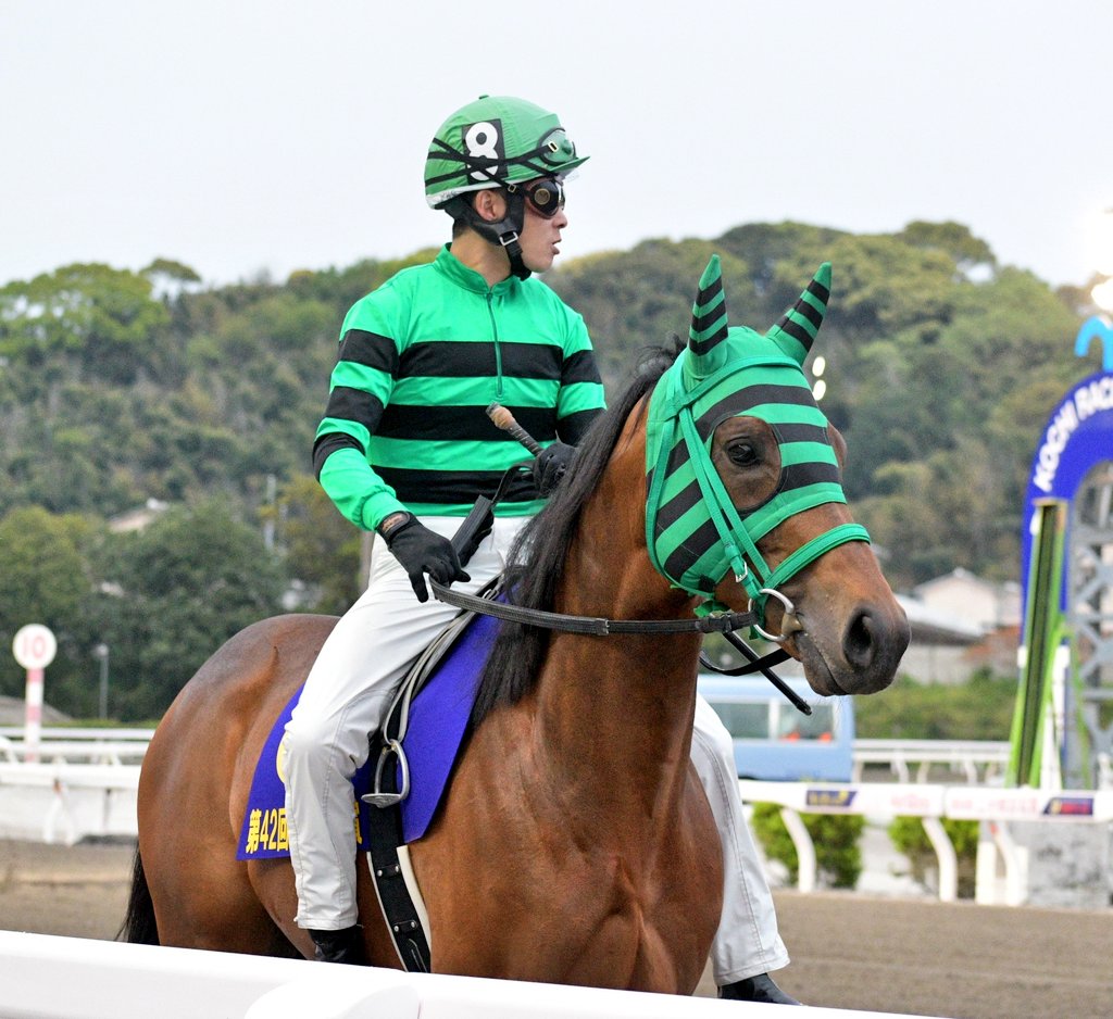 キリン tweet media