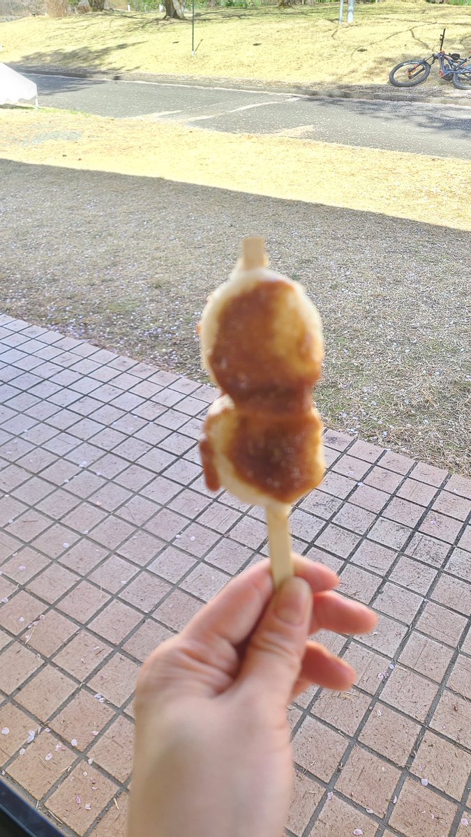 一生、五平餅にピントが合わない…
