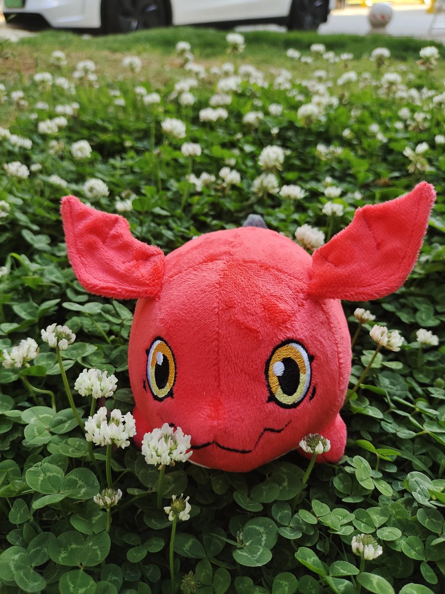 空_金💞 tweet media