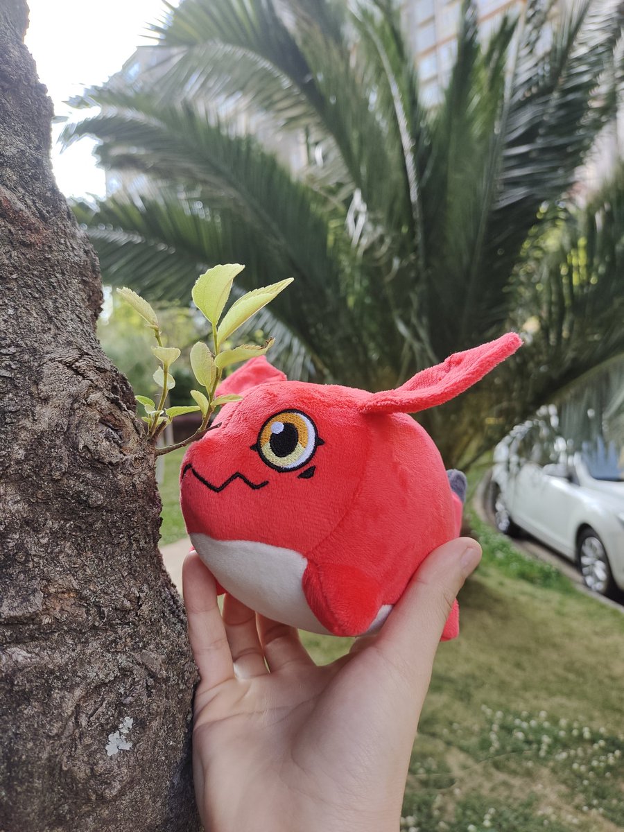 空_金💞 tweet media