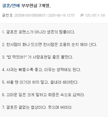 고급일기장(Premium+ / KOREAN) tweet media