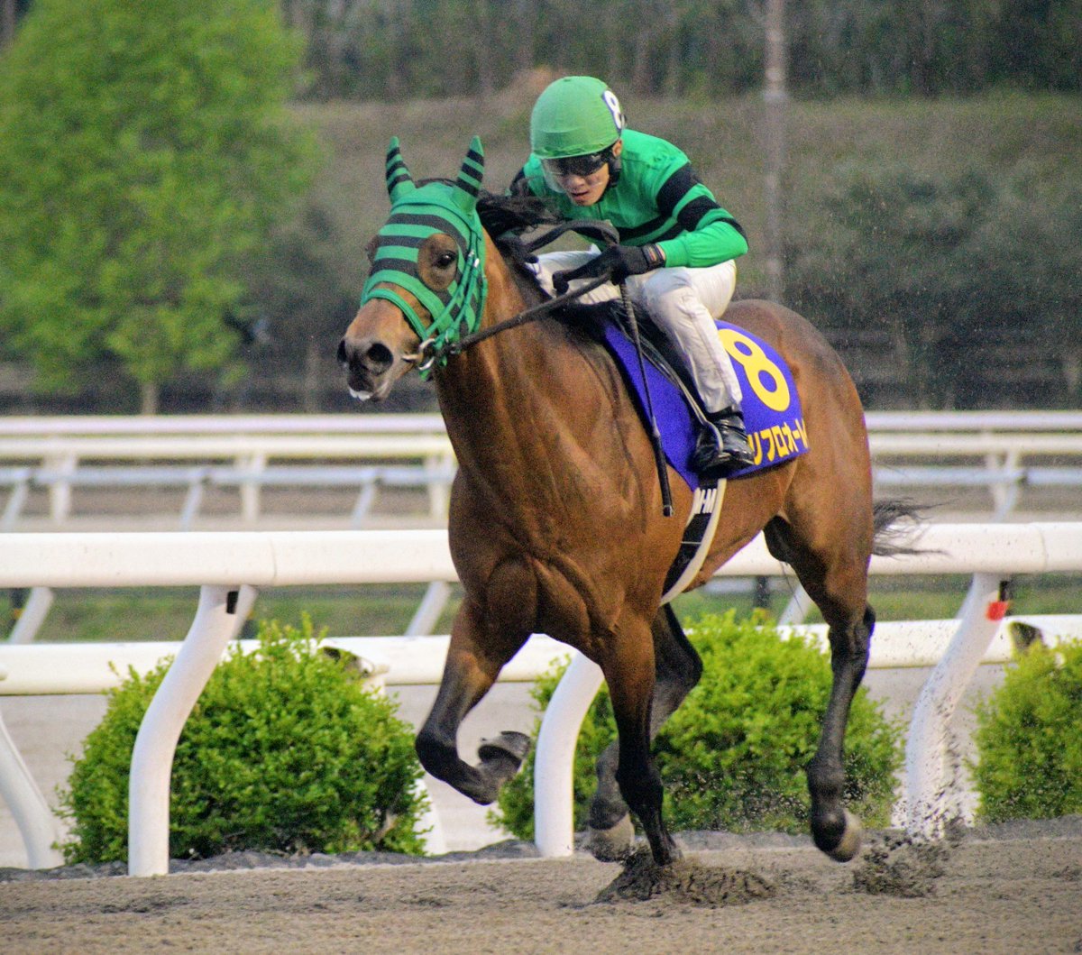 キリン tweet media