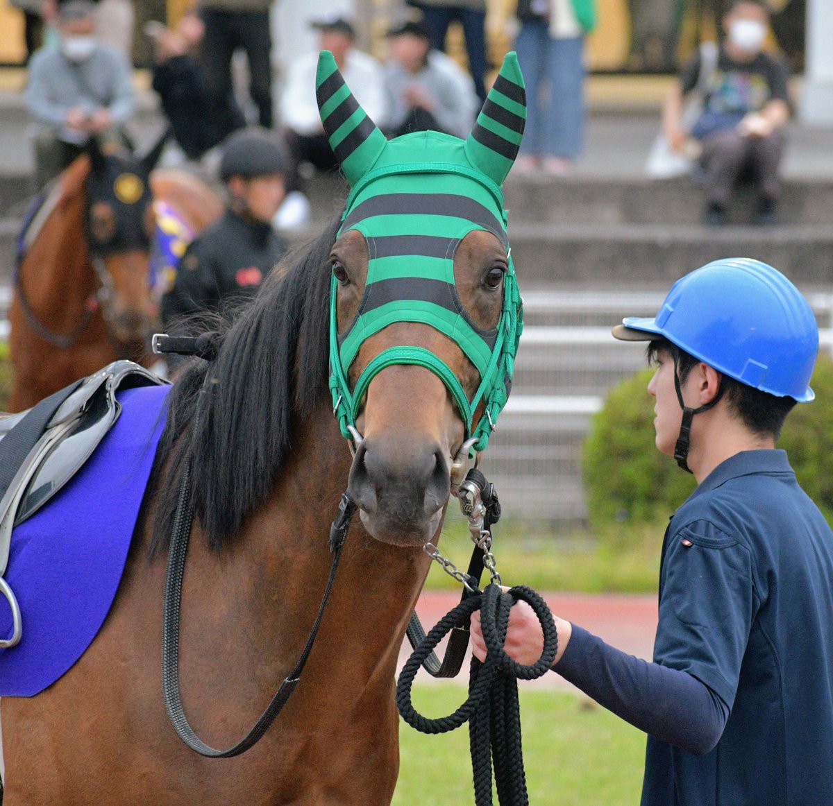 キリン tweet media