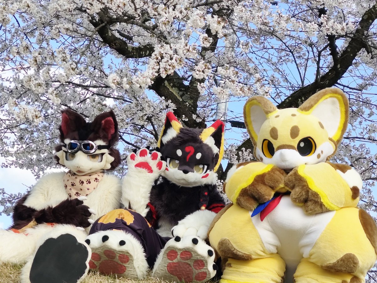 最高に春を感じてきた