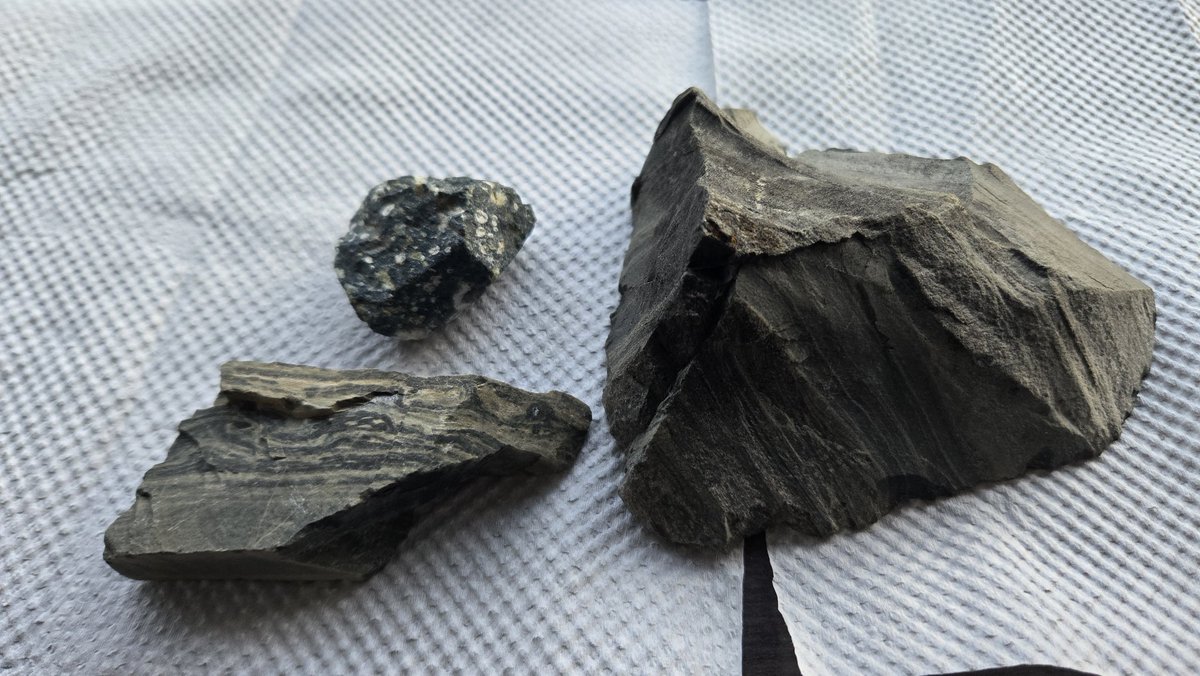 暇空調 tweet media