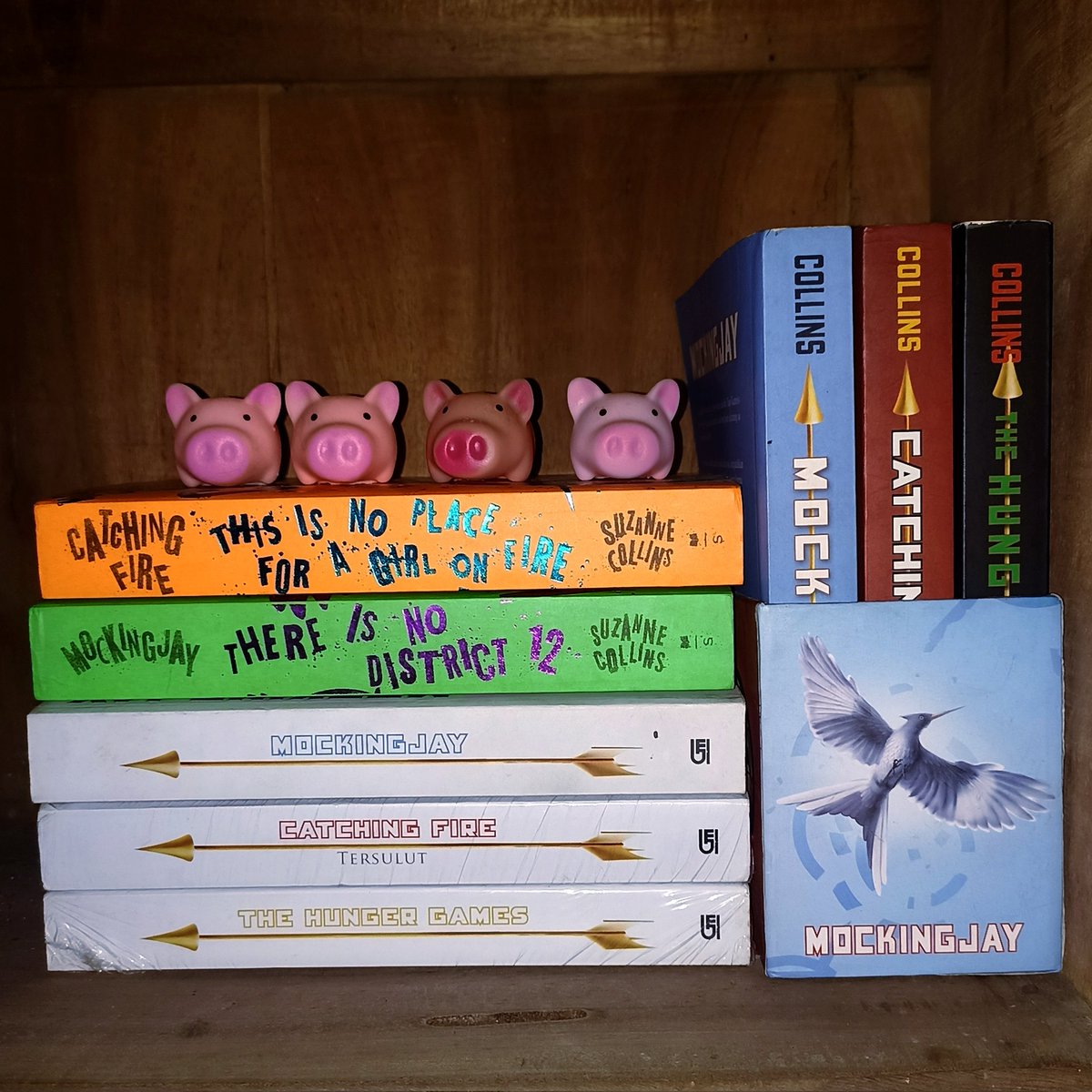 🪼sam🪸 tweet media