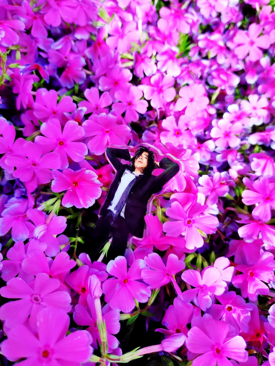 ズレ(働き猫) tweet media