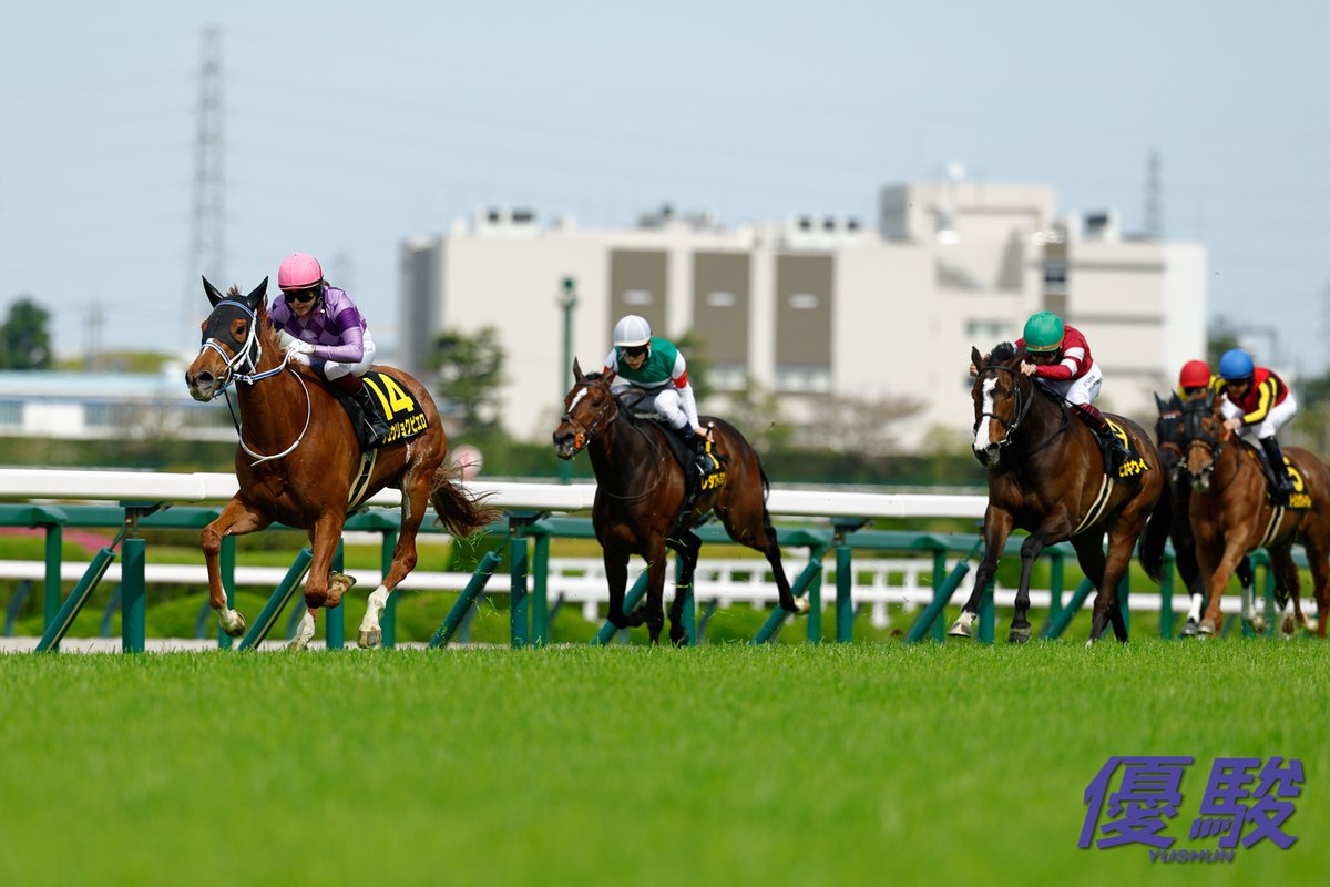 『優駿』編集部 tweet media