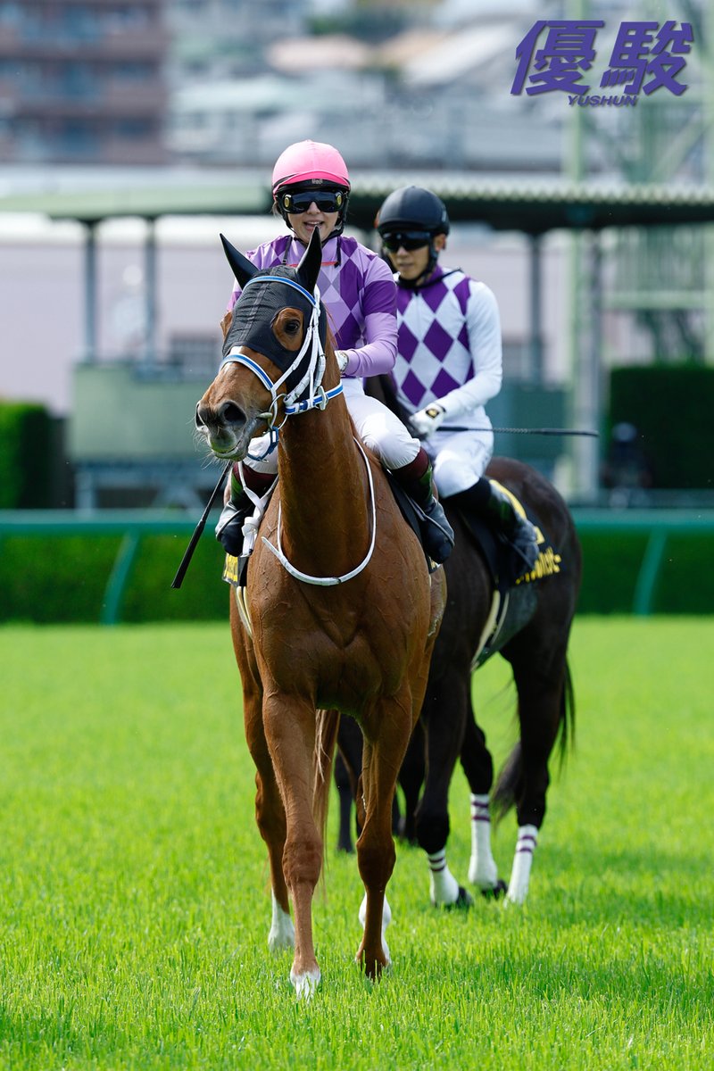 『優駿』編集部 tweet media