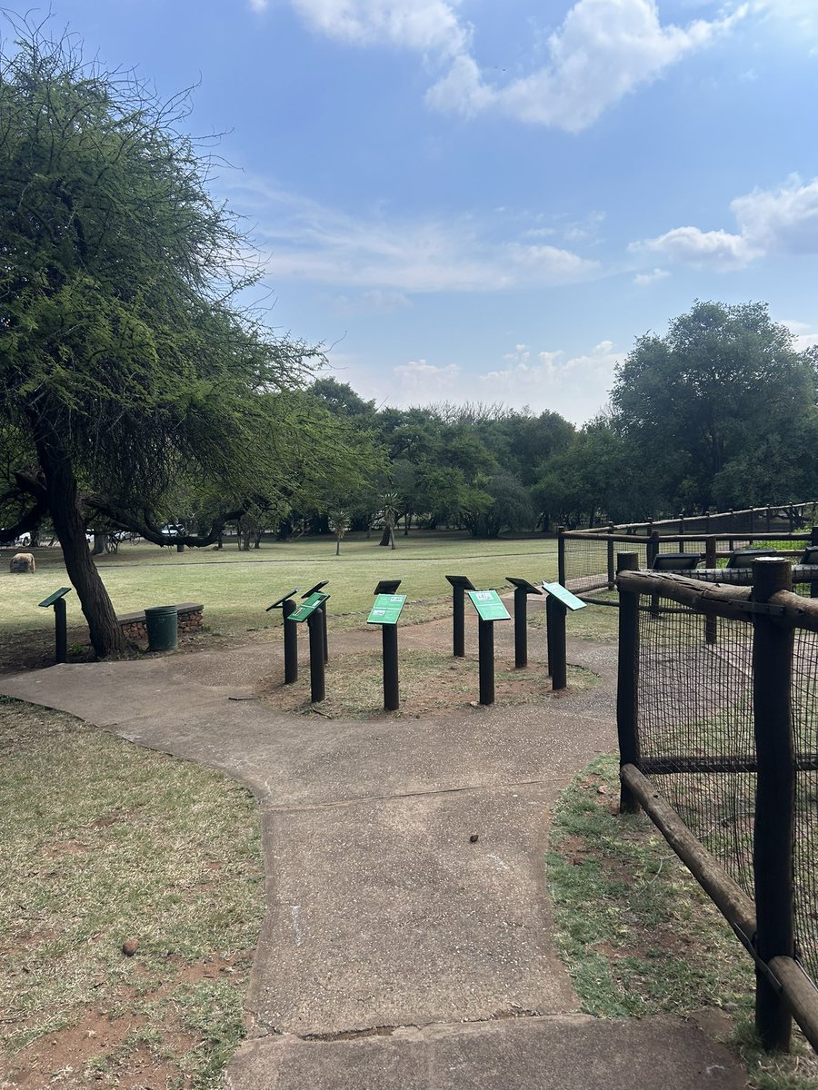 Ivyn Sambo tweet media