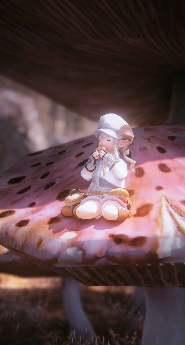 TuMei_'s tweet photo. 无事发点拉拉肥
#FF14 #ララフェル #おはララ #GPOSERS https://t.co/mwi7v7FQpZ