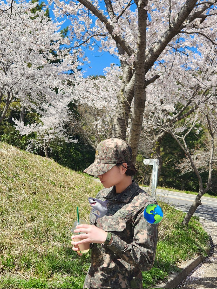흔드는 상어 (플엑 양일✨) tweet media