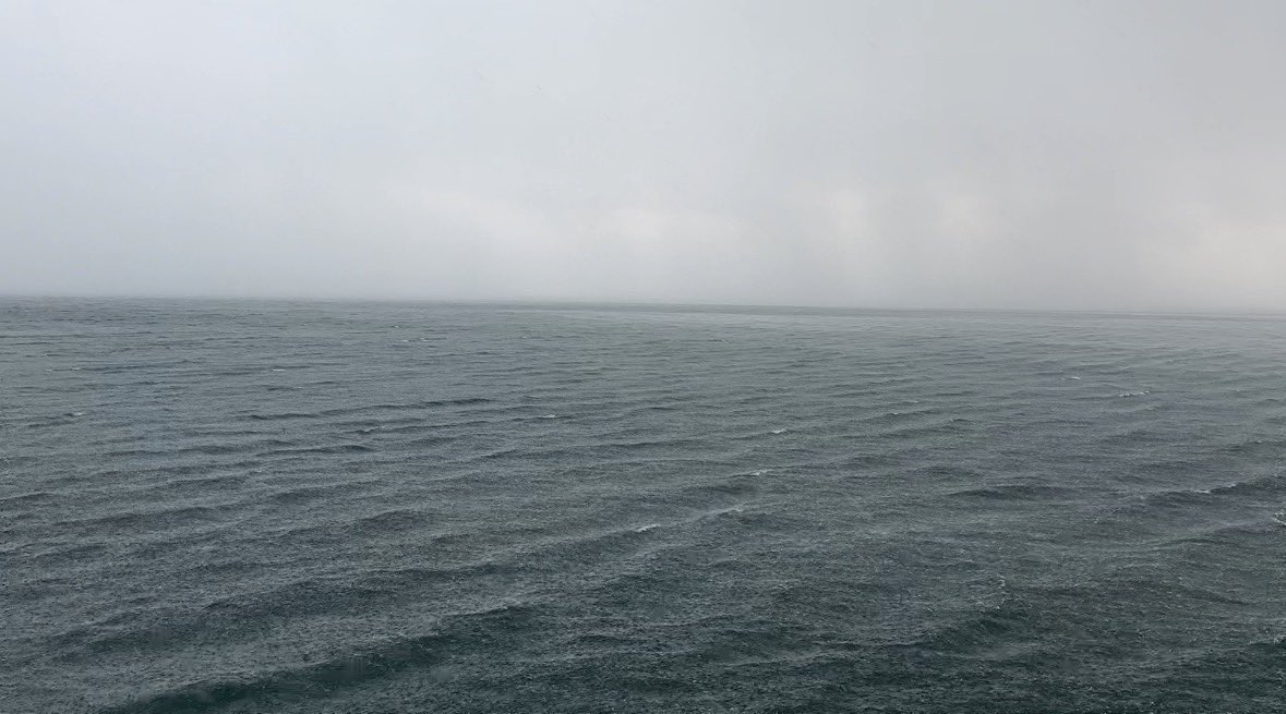 سَبَج tweet media