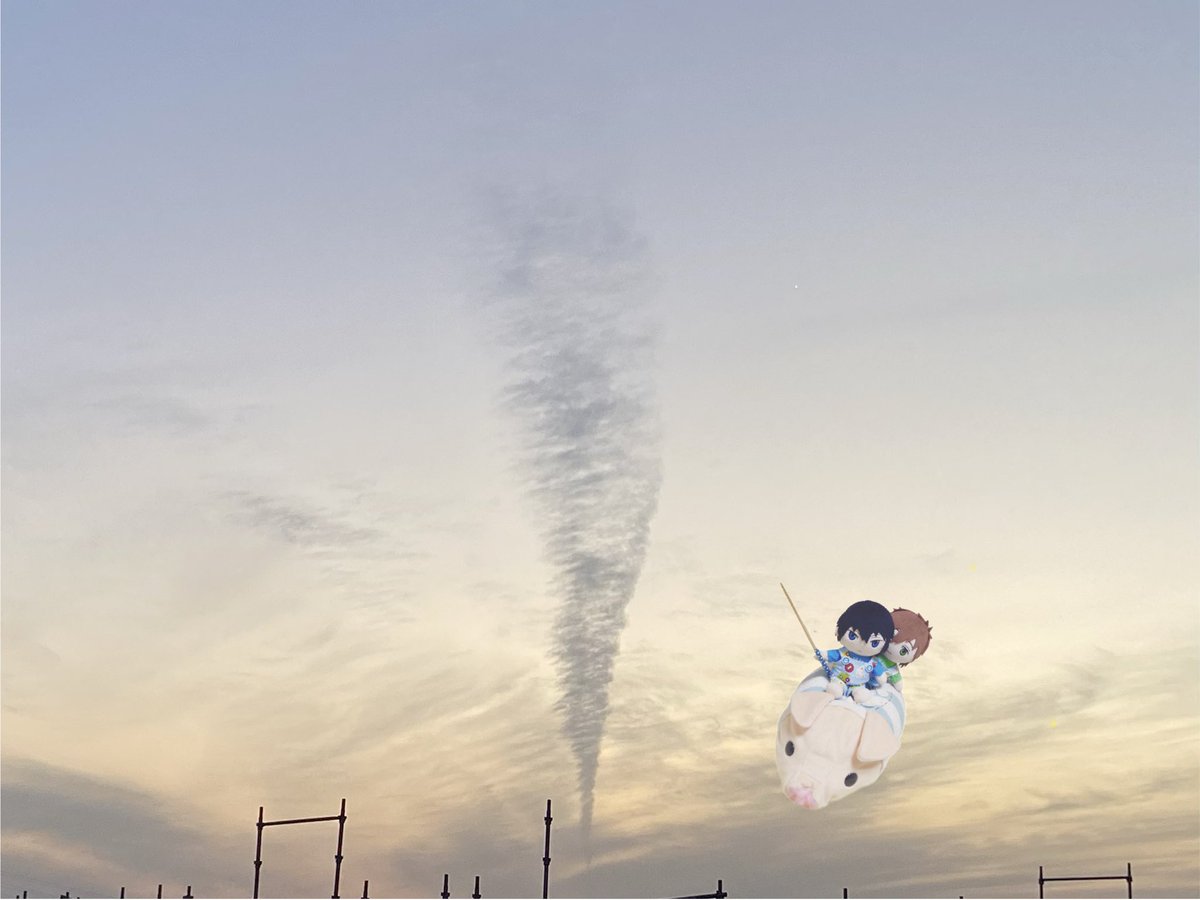 タツマキかな？(違うと思います)