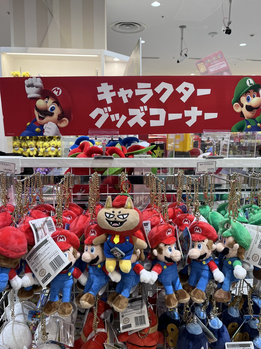 กรู้ทchibel ఇ◝‿◜ఇ🍅🦊 (rest) tweet media