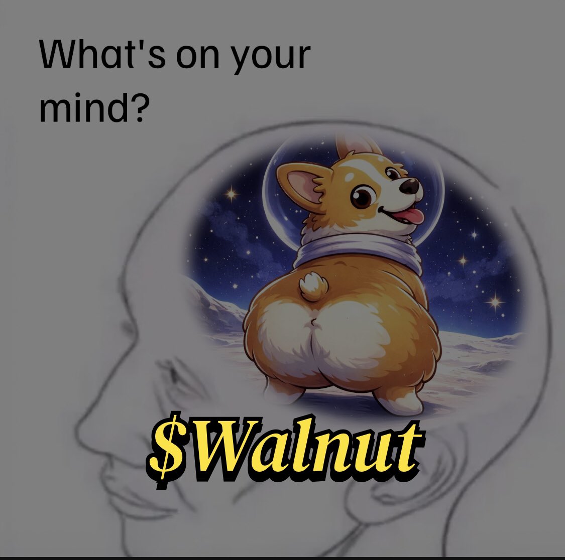 <a href="/PraxMedia/">Prax</a> $Walnut is the next 1000x 
If you are looking for a long time project to invest your sol in . 
$Walnut is here for you. 
This a generational wealth.
Ca : GB5wvCyhruWj3a3N1gXmJmdzst1bgLqHgqphH2Qkpump

Tg : t.me/walnutgroupchat