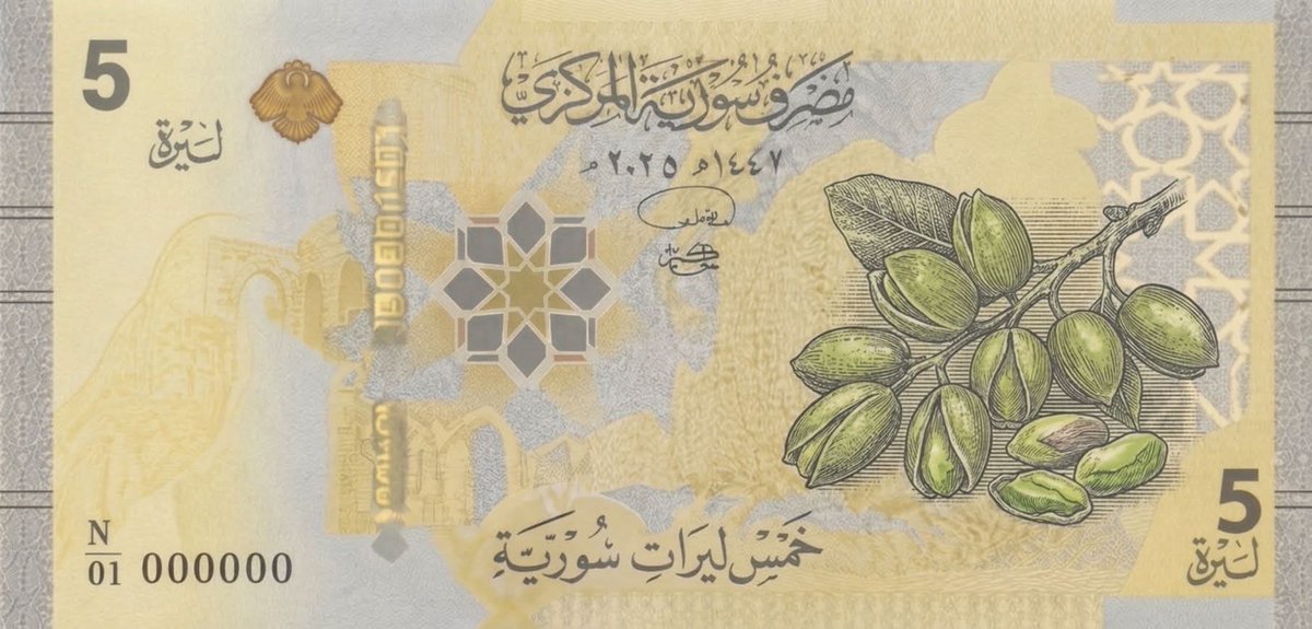 R 🇸🇾 tweet media