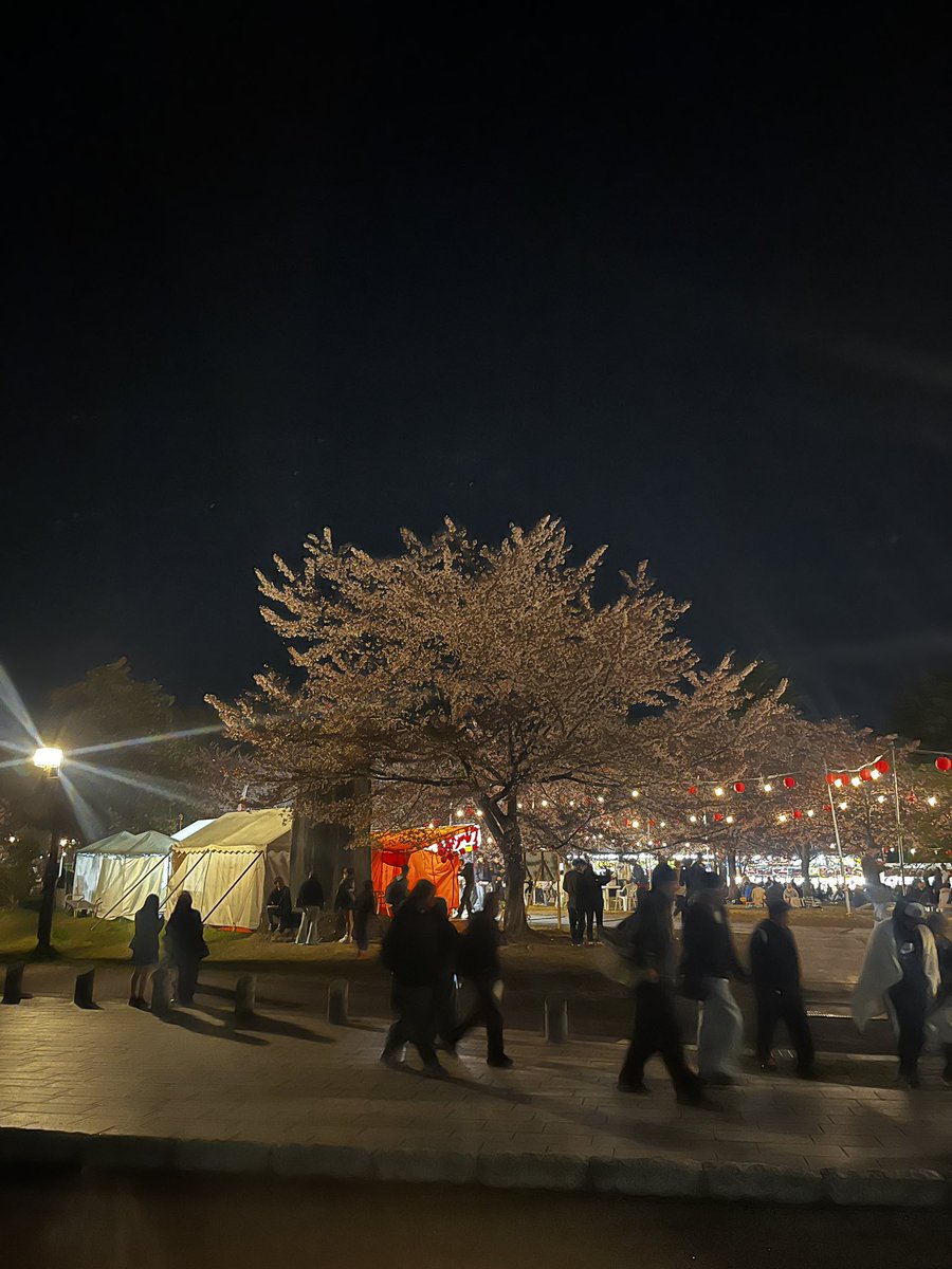 西公園お花見 tweet media