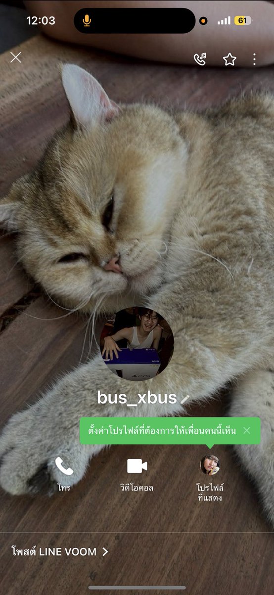₊˚⊹ เฟียที่เป่นแม่ตี๋ ₊˚⊹ ⋆˙ tweet media