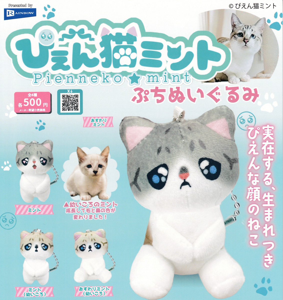 📣 4/12(日)完売のお知らせ 📣

❌ ぴえん猫ミント ぷちぬいぐるみ

ご好評につき完売いたしました！
ありがとうございました🙇‍♀️

💬再入荷の際は、当アカウントにて
     お知らせいたします！

#ドリームカプセル 🟠⚪️
#イオンタウン松阪船江 🐮🌱