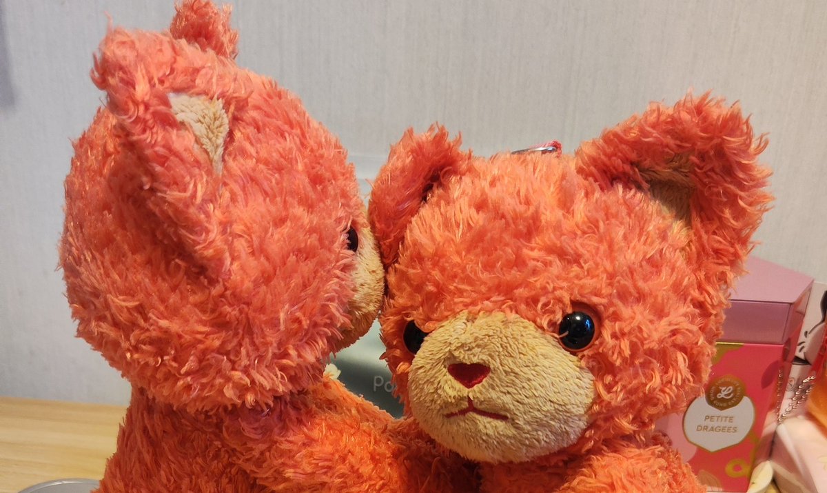 🍎🍅🍎🍛kai@ スタトレ 2日も参戦🍛♪♬ tweet media