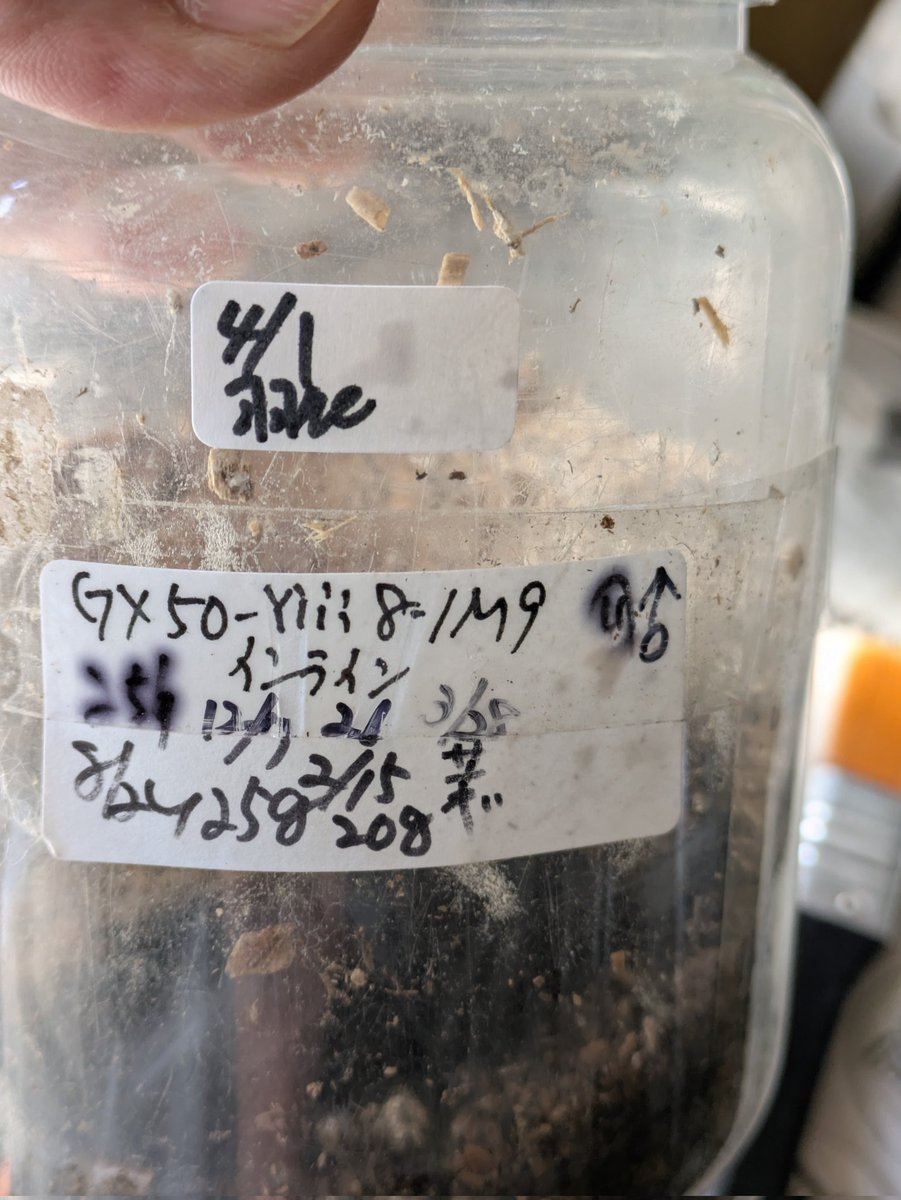 横山幸雄 tweet media