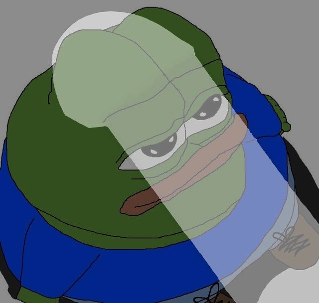 🦁 King tweet media