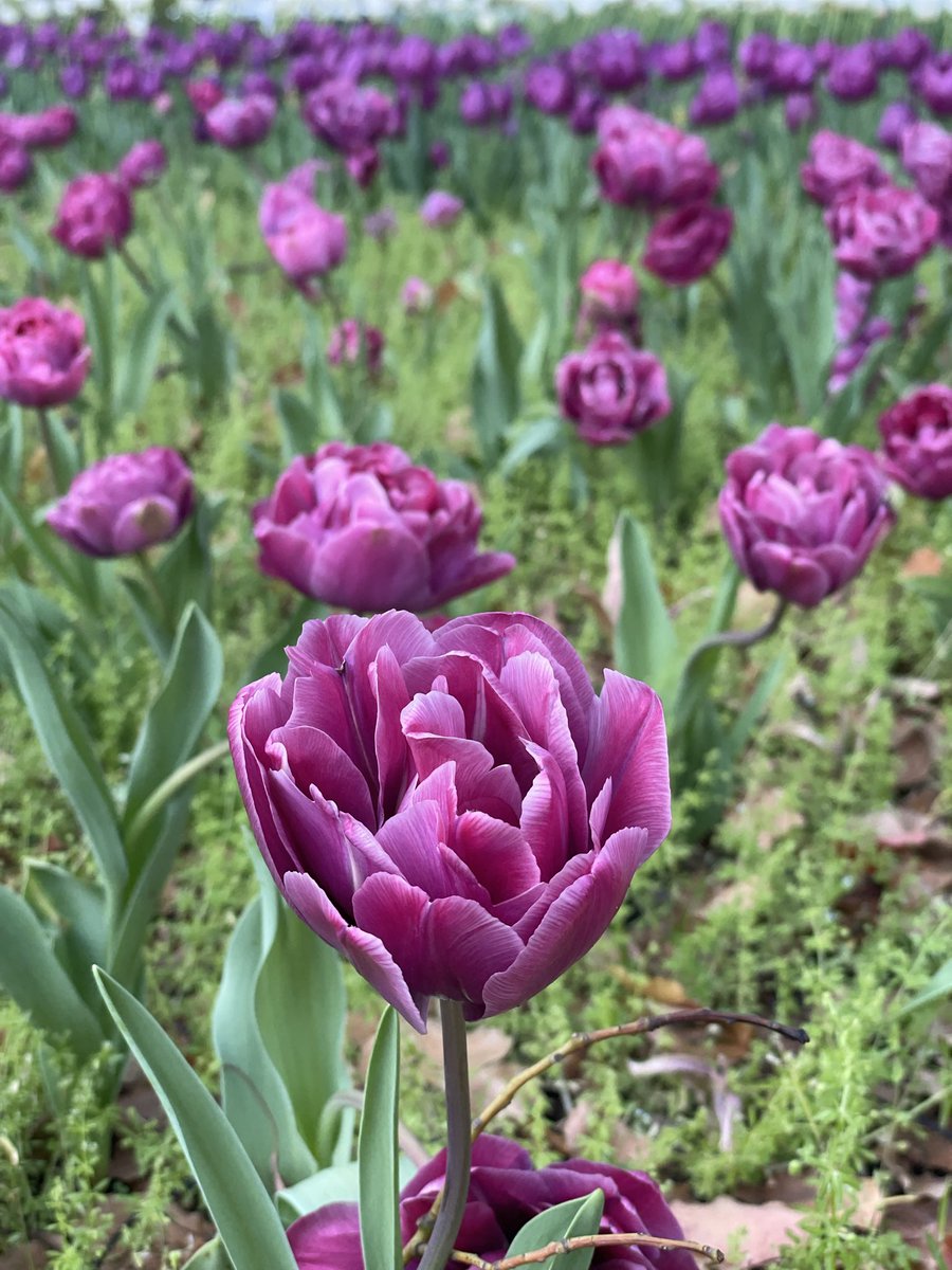 あたる tweet media