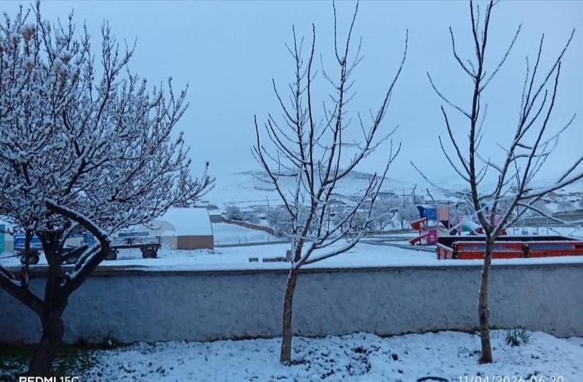 Görüntüler bugün (11 Nisan 2026) sabah Yağlıbayat Mahallemizde kaydedildi.

[📸: Mustafa Er]