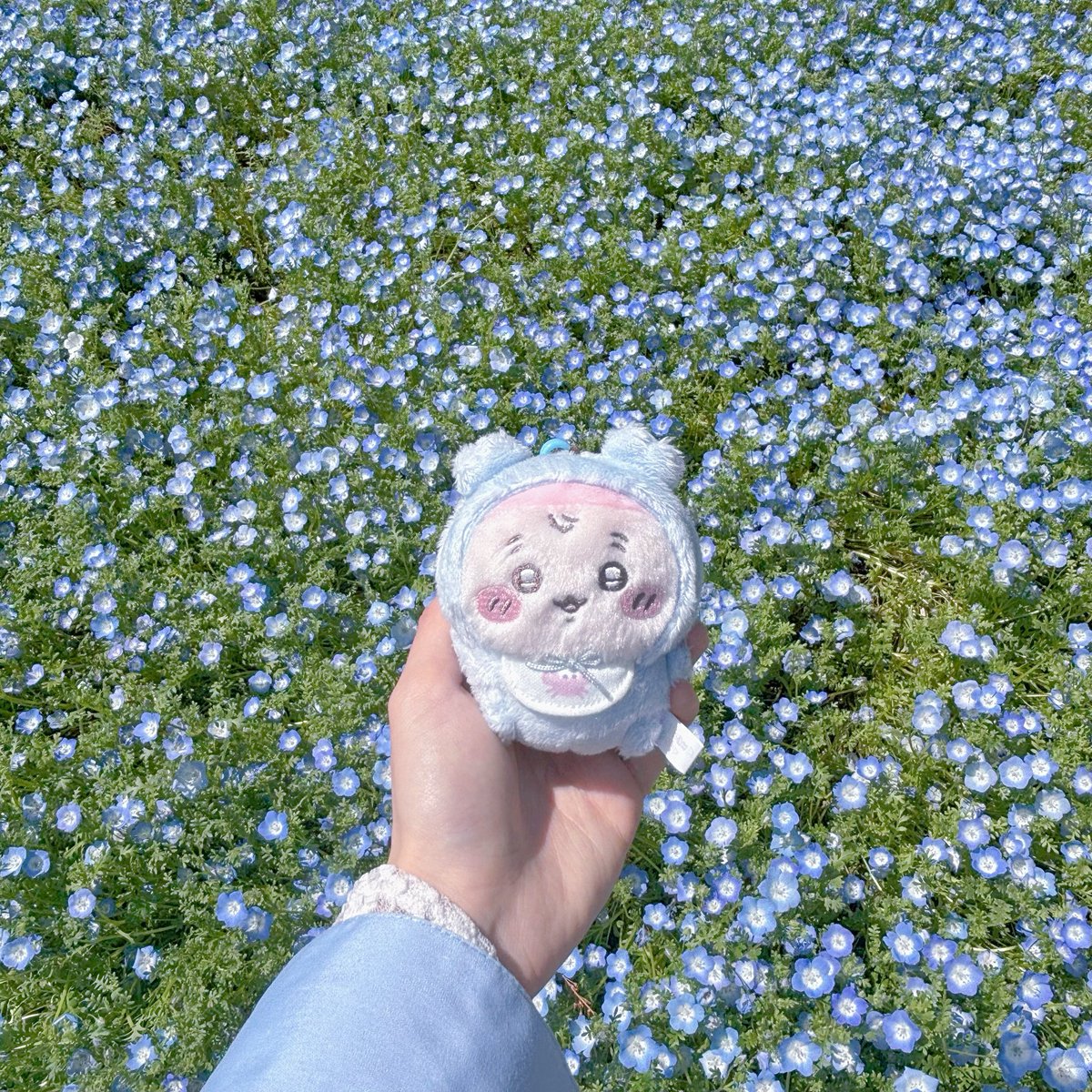 ちゃに tweet media