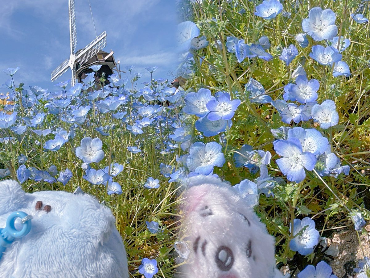 ちゃに tweet media