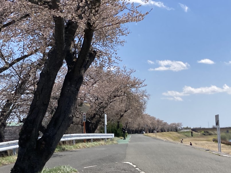 去年に続き今年も支援センターの開催するお花見に参加しました🌸
物心つく前に1度両親と乗った電車が久しぶりに動くイベントなのと、一緒のグループの方々も乗るそうなので一緒に乗りました。昔話をしたりしながら車窓を眺めたりして良い思い出になったのと、川沿いの桜が満開でした☺️🚊🥲