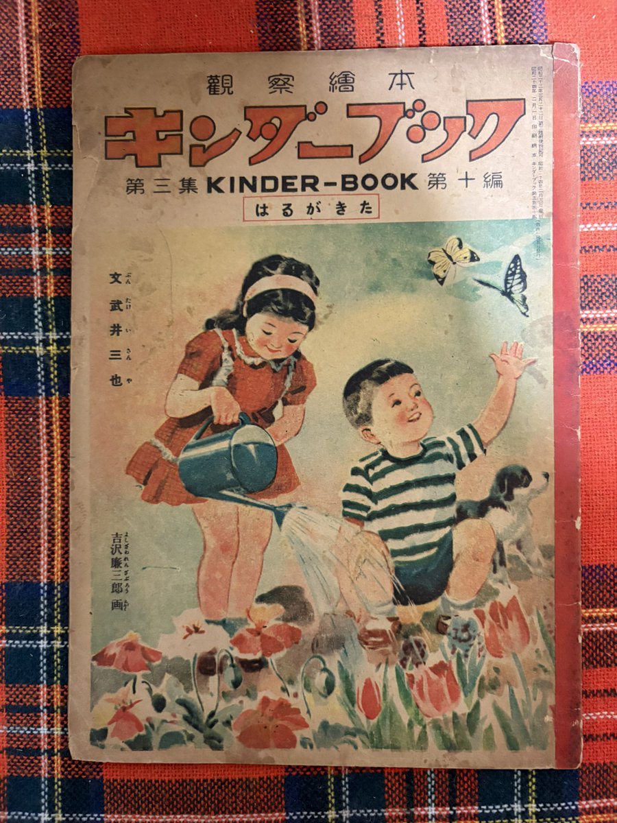 そらいろの樹🌿🕊️ tweet media