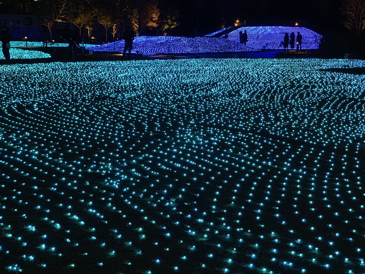 杉の木 tweet media