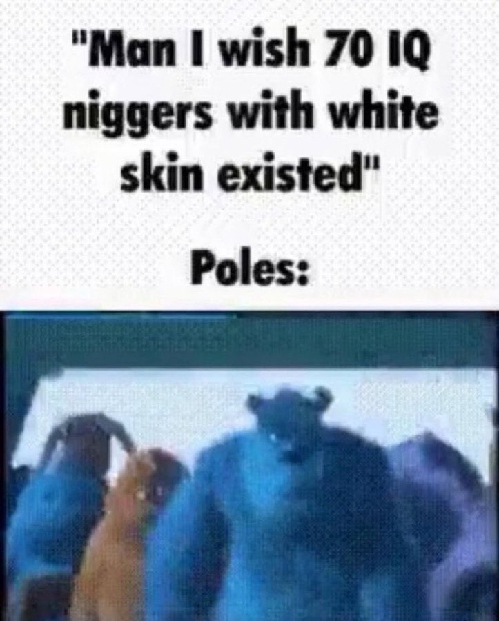 spiritcel tweet media