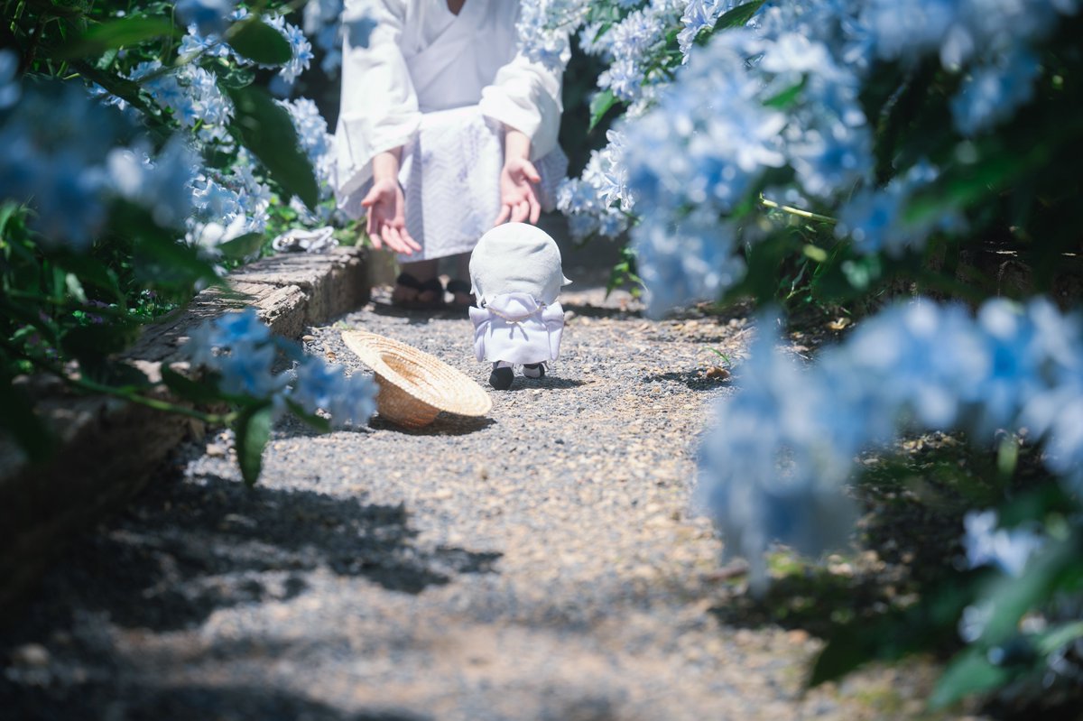 東風/春待ち tweet media