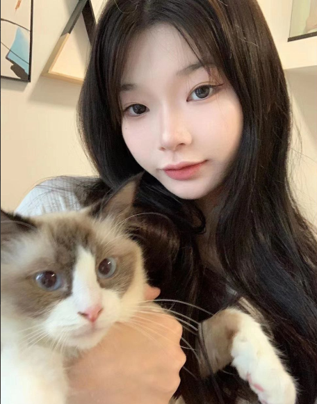 玫瑰🌹 tweet media