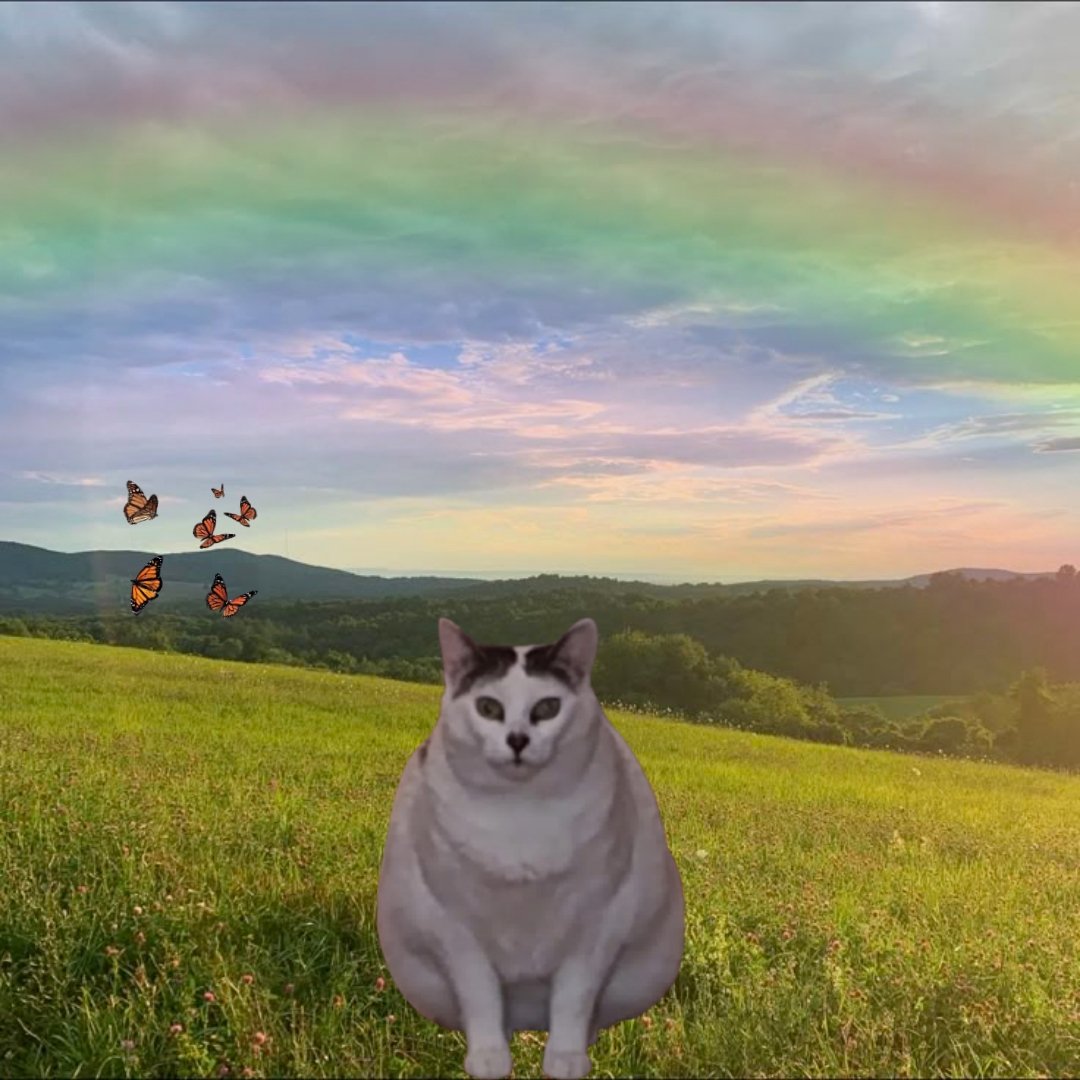 encerrada por TONTA tweet media