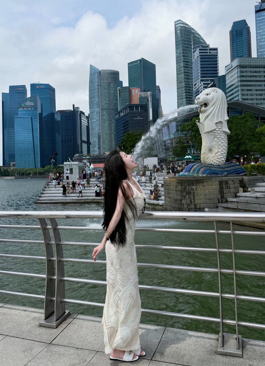 新加坡 格格🇸🇬 tweet media