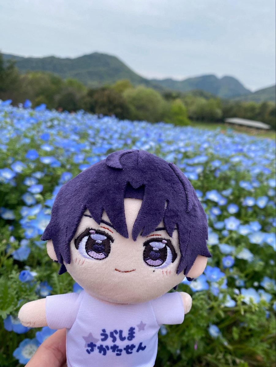 りな(｢🍐･ω･)｢🍇 tweet media