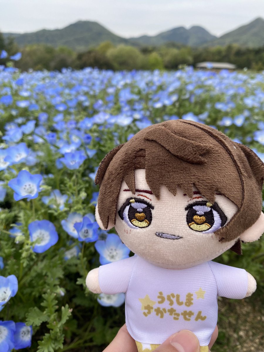 りな(｢🍐･ω･)｢🍇 tweet media