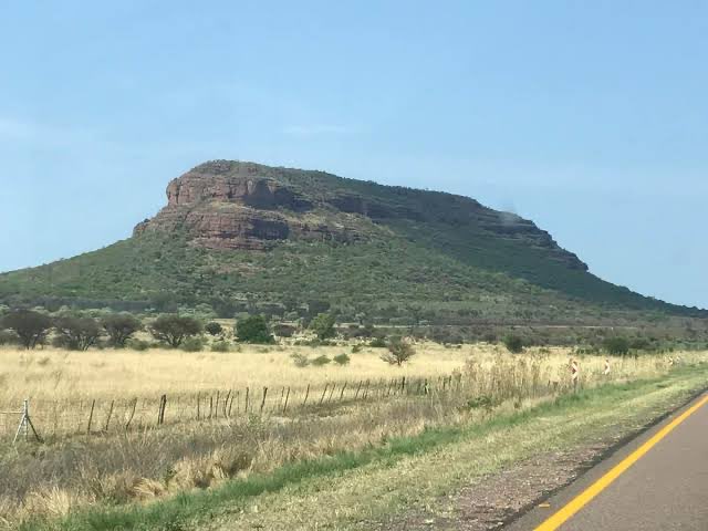 Sabelo ka Lindamkhonto vi tweet media